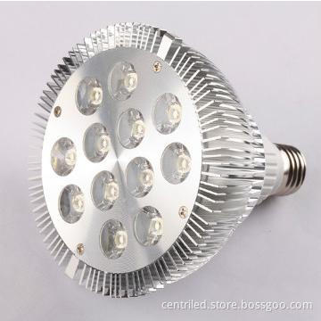CE&RoHSLow-energy 12w Par38 LED Par light
